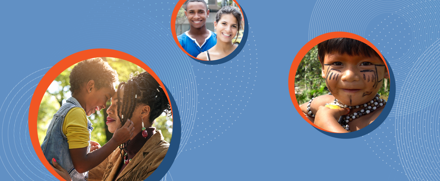 Nossa especialidade: A Constituição brasileira.